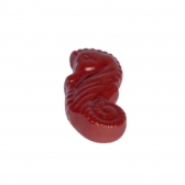 GI005 - Forma de Chocolate em Policarbonato Bombom Cavalo Marinho 12g