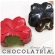 GI179 - Forma de Chocolate em Policarbonato Flor de Sakura grande.