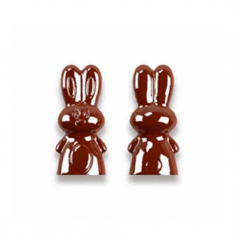 GI096 - Forma de Chocolate em Policarbonato Coelho Bombom frente e costas