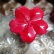GI179 - Forma de Chocolate em Policarbonato Flor de Sakura grande.